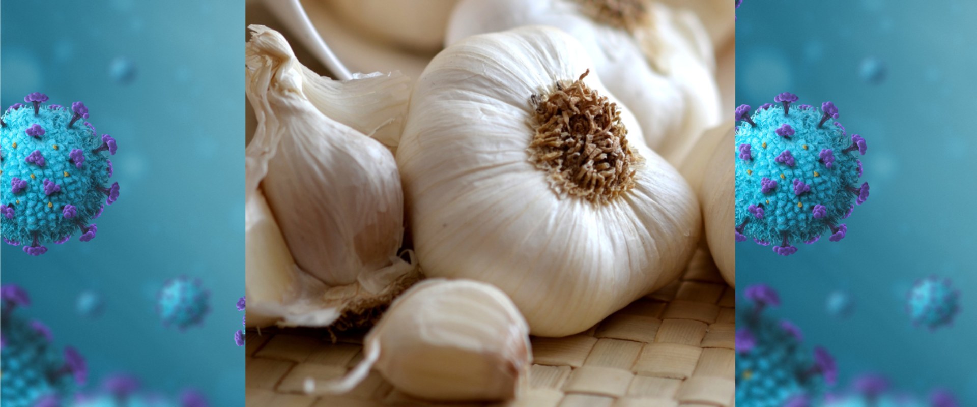 Exploring the Antibacterial Benefits of Garlic Supplements