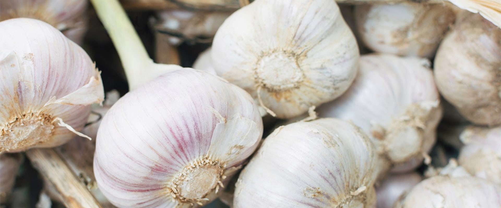 The Surprising Benefits of Garlic: Unlocking the Health Potential of This Superfood